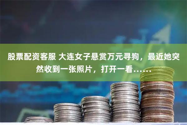 股票配资客服 大连女子悬赏万元寻狗，最近她突然收到一张照片，打开一看……